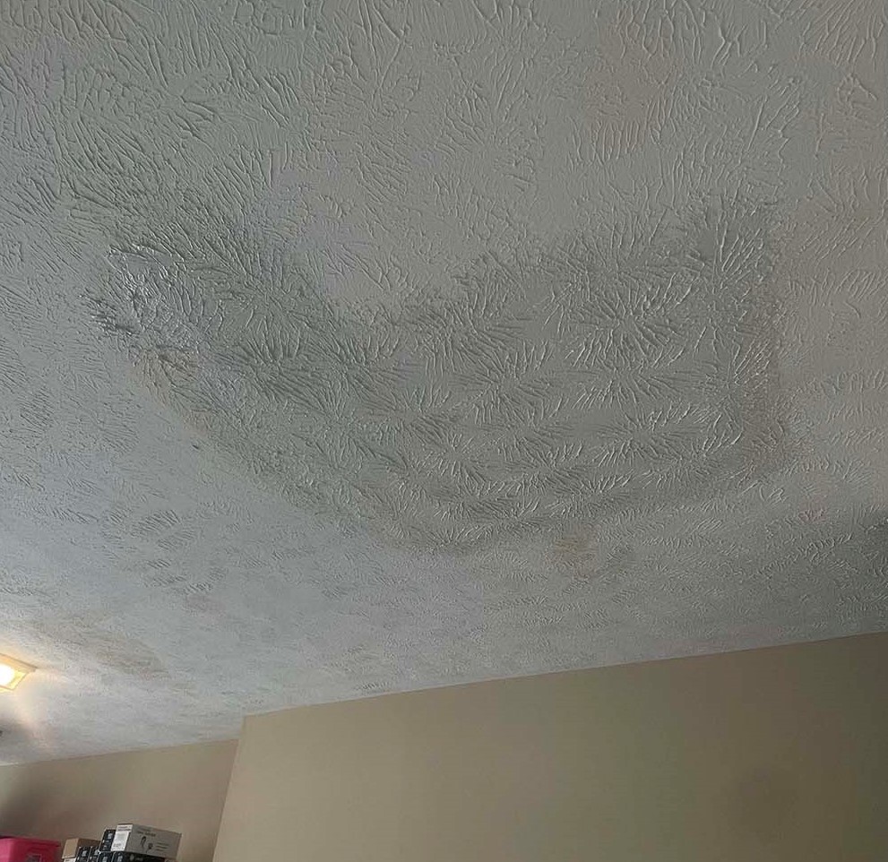 Close-up of hand-stomp ceiling pattern blend in garage